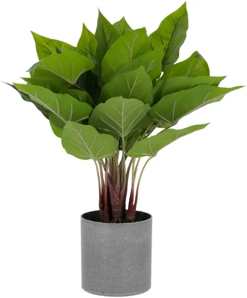 Anthurium, Planta artificial, verde/cinza, A50x40x40 cm