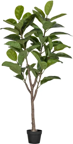 Figueira-de-borracha, Planta artificial, verde, A135x74x55 cm