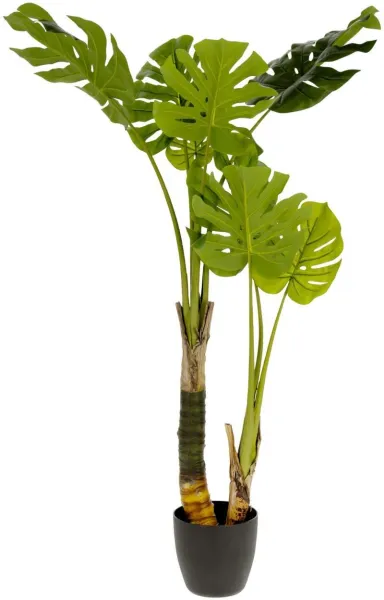 Monstera, Planta artificial, verde/preto, H130x60x60 cm