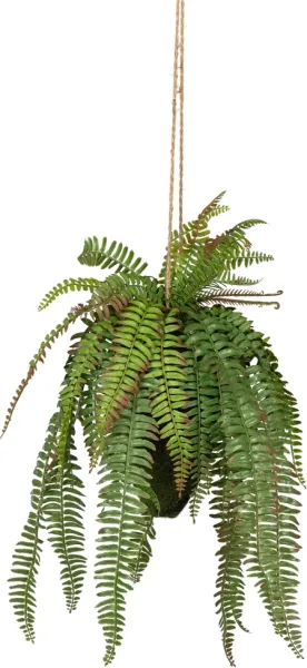 Samambaia, Planta artificial, verde, A58x30x30 cm