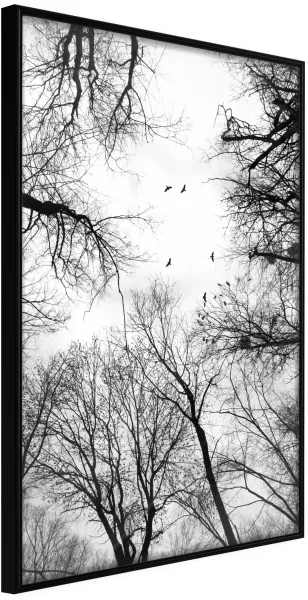 ARTGEIST Pôster com moldura - Treetops Preto 40x60