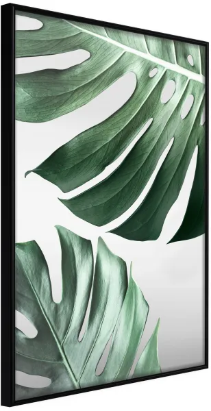 ARTGEIST Pôster com moldura - Leaves Like Swiss Cheese Preto 30x45